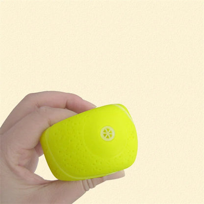 Squeaky Dog Ball Toy | Rubber Chew for Small Dogs