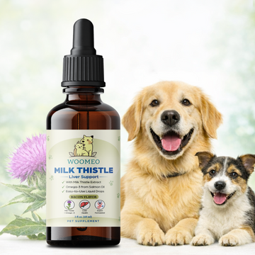 Milk Thistle for Cats – Liver Support & Detox Supplement