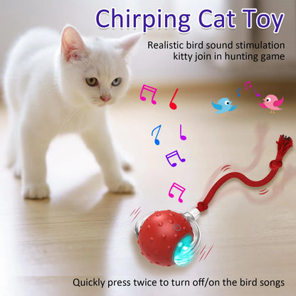 Interactive Motion Sensor Cat Toy with Chirping Bird Sound