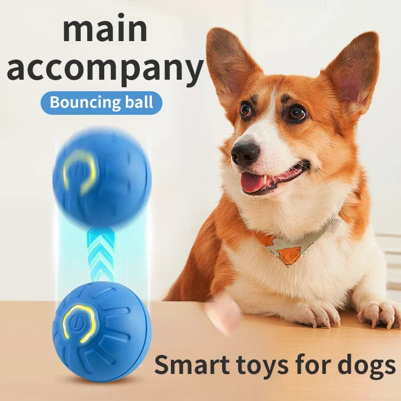 Interactive Smart Dog Toy Ball | USB Rechargeable