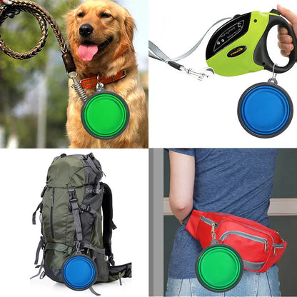 Portable Collapsible Pet Bowl with Carabiner | Travel