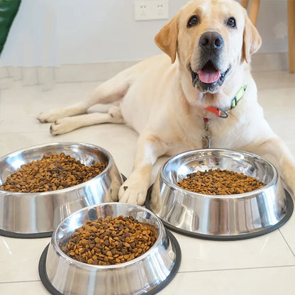 Stainless Steel Pet Bowls