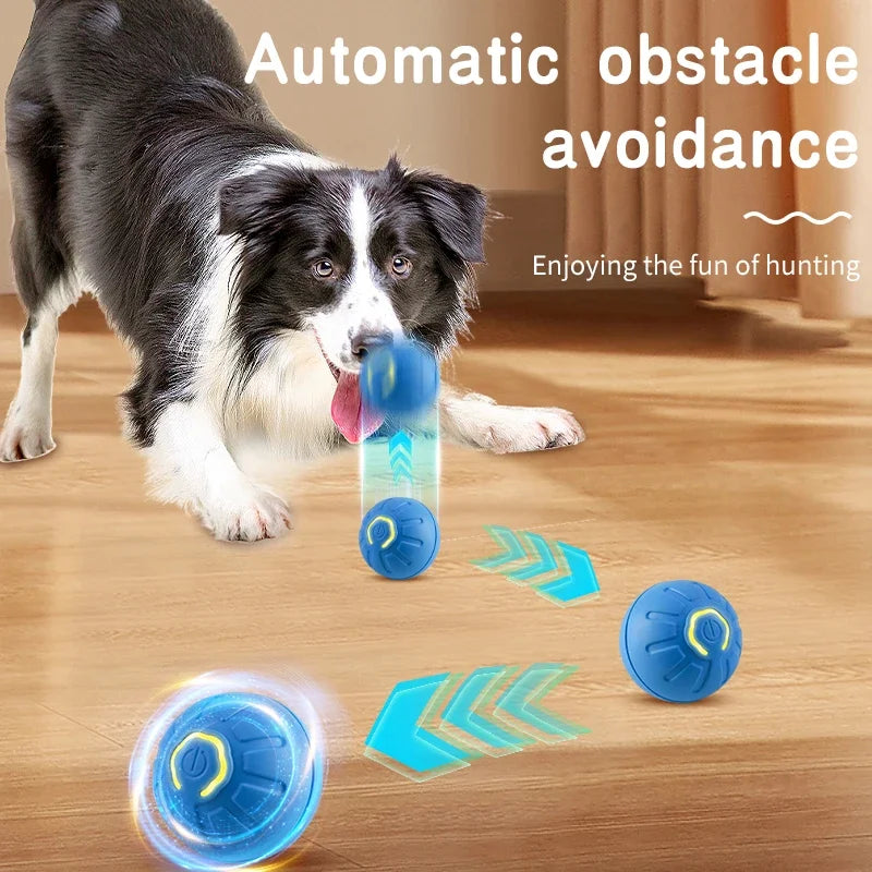 Interactive Smart Dog Toy Ball | USB Rechargeable