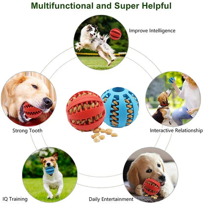 Chewable Interactive Rubber Dog Ball for Small Dogs