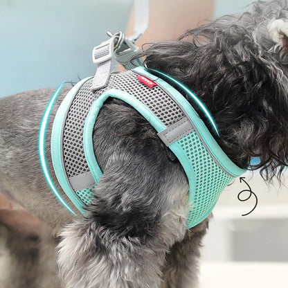 Adjustable Kimpets Dog Harness & Vest for Small Pets