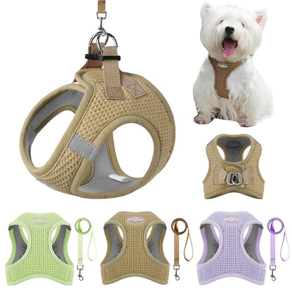 Breathable Waffle Harness & Leash for Puppies & Cats