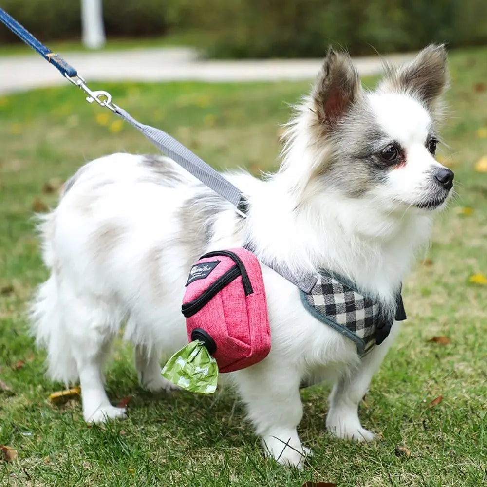 Portable Dog Training Treat Bag – Outdoor Pet Pouch