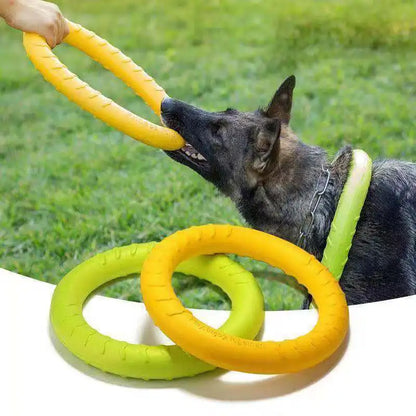 Interactive Dog Flying Disc - Anti-Bite, Floats, Training & Play