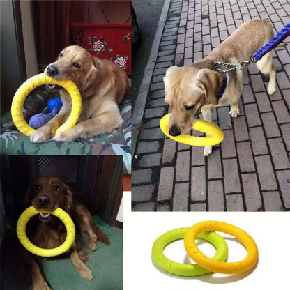 Interactive Dog Flying Disc - Anti-Bite, Floats, Training & Play