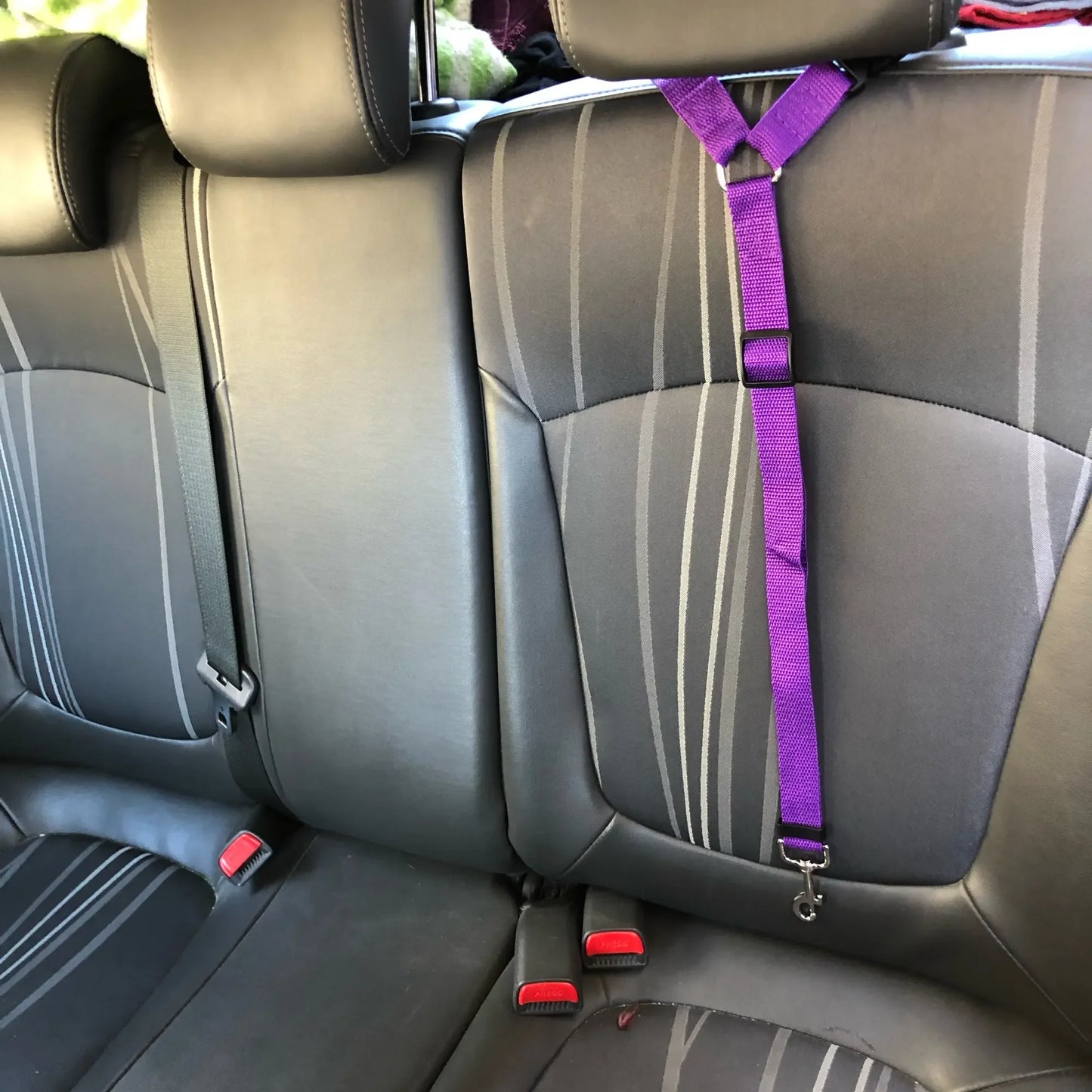 Solid Color Adjustable Dog Car Seat Belt & Leash