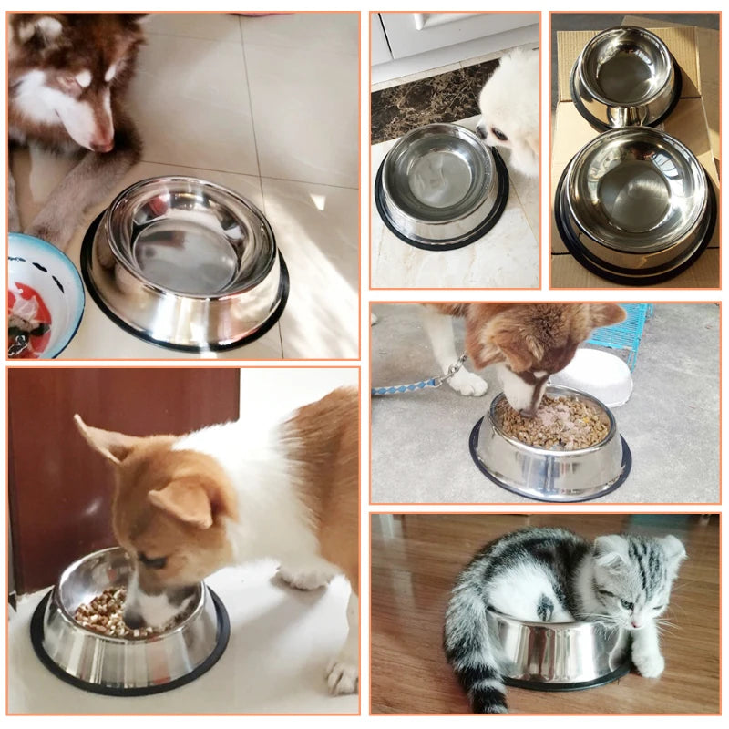 Stainless Steel Pet Bowls