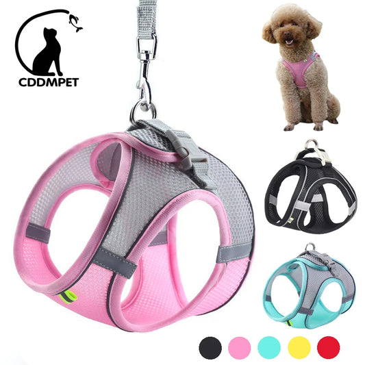 Adjustable Dog Harness & Leash Set for Small Pets