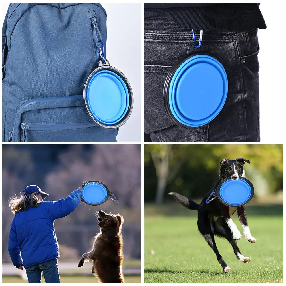 Portable Collapsible Pet Bowl with Carabiner | Travel