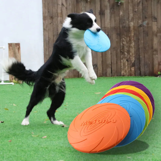 Bite-Resistant Flying Disc for Dogs | Interactive Outdoor Toy