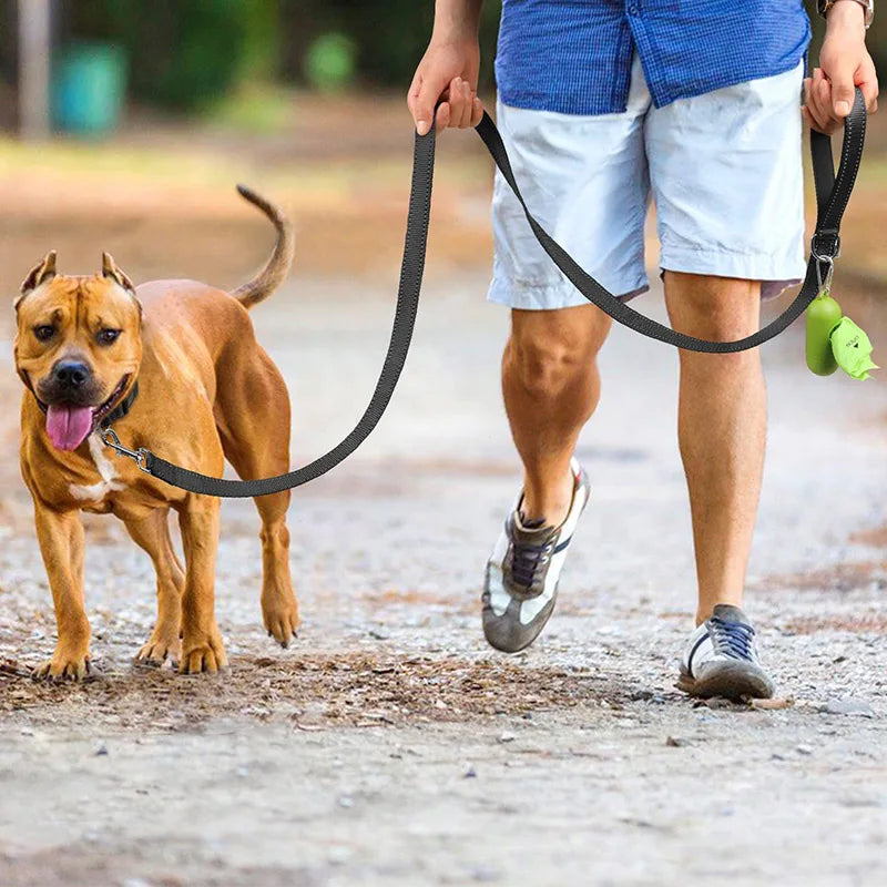 Reflective Pet Harness & Leash - Adjustable for Dogs & Cats